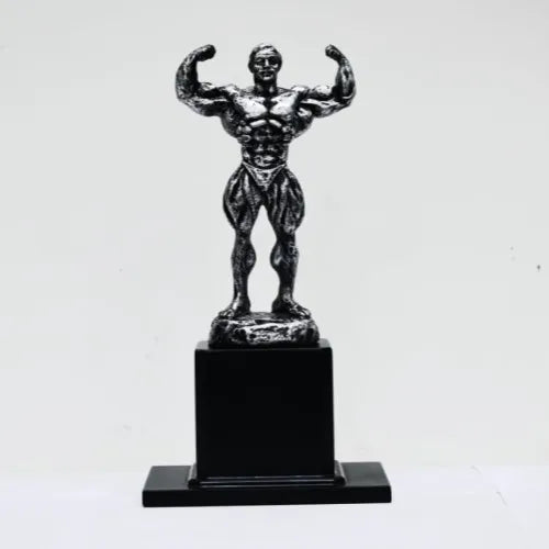 Do you need a 3D Custom Trophy, 3D Momento, or 3D Souvenir?