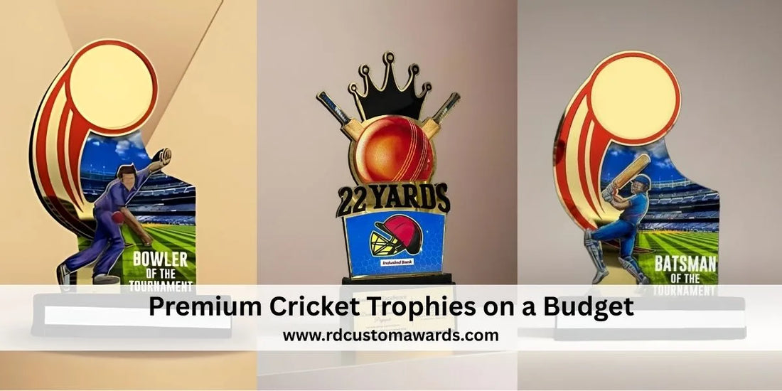 Premium Cricket Trophies on a Budget