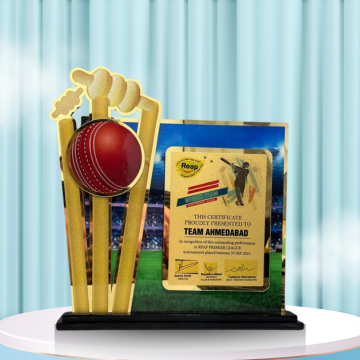 Custom Cricket Team Trophy – Stumps & Ball Design with Certificate Panel
