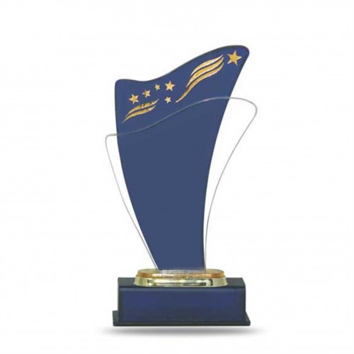 Glitter Acrylic Trophy