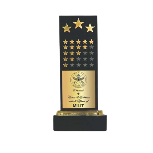 Max Star Acrylic Trophy