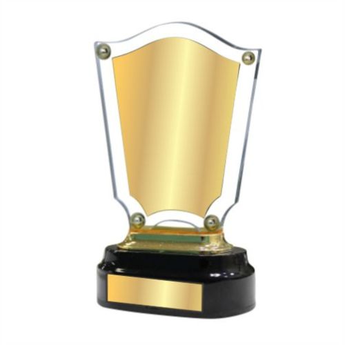 Souvenir Acrylic Trophy