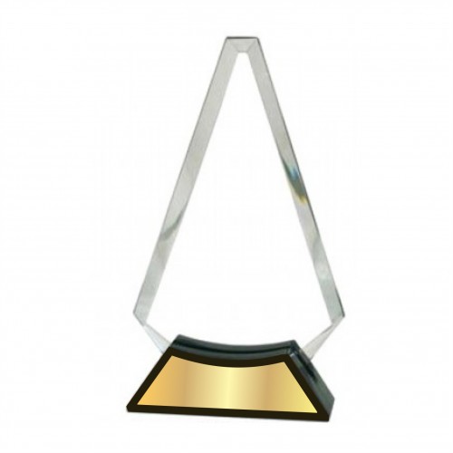 Staright Forward Acrylic Trophy