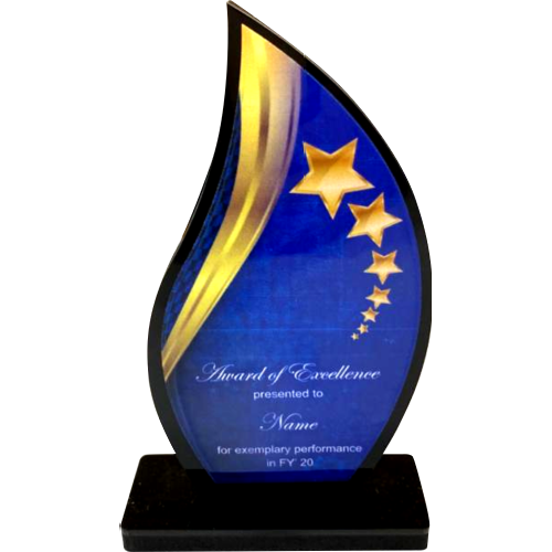 Budget Trophy Award