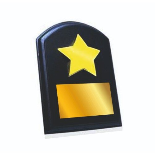 Star Performer Wooden Plaque 