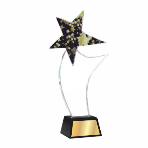 Merit Crystal Award 