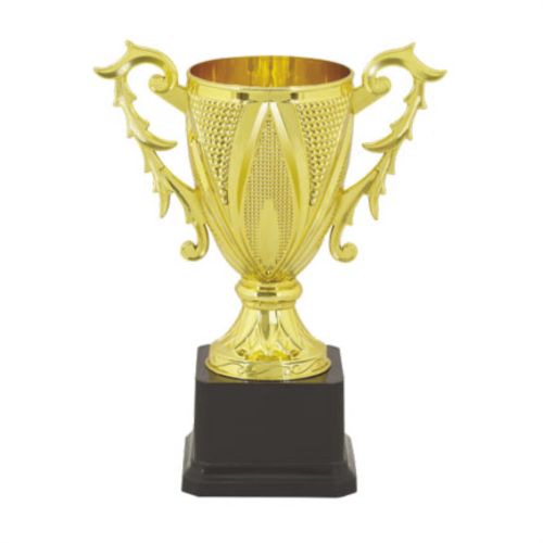 Cheap Fiber Cup Trophy 