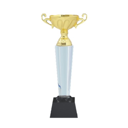 Crystal Trophy with Golden Cup 