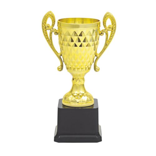 Fibre Cup Trophy 