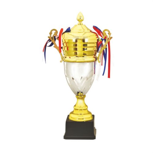 Gold Silver Fiber Cup Trophy 