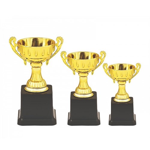 Mini Open Cup Fier Trophy 