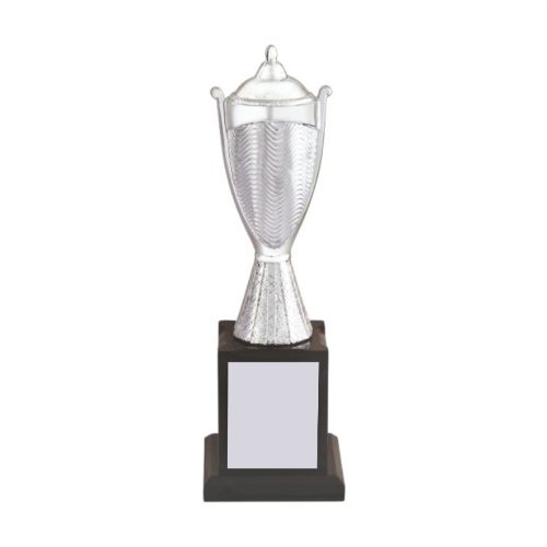 Silver Fiber Cup Trophy 