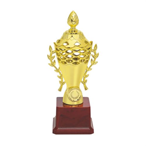 Unique Design Cup Trophy 