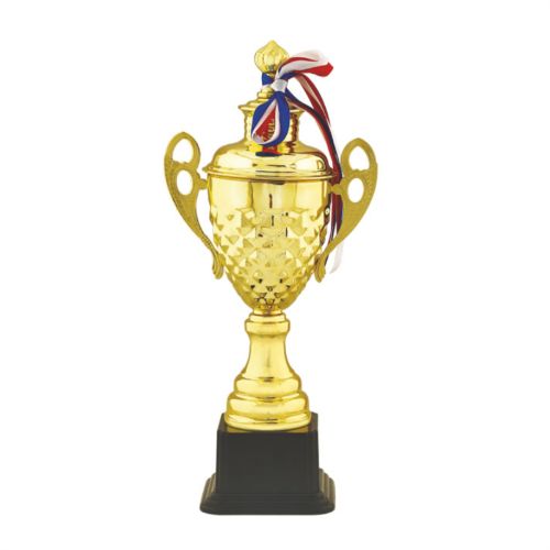 Winners Cup Fiber Trophy 