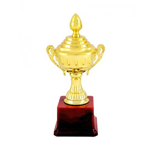 Bulgy Cup Fiber Trophy 