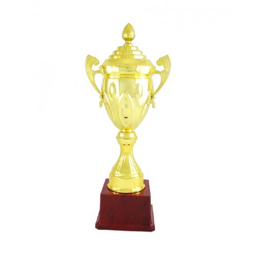 Classic Fiber Cup Trophy 