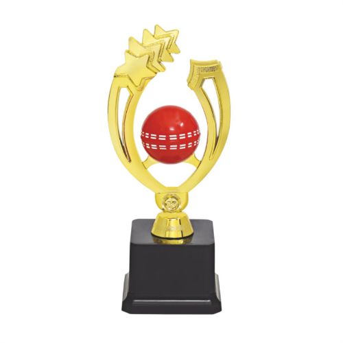 Cricket Ball Fiber Trophy 