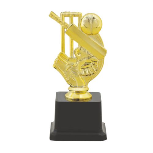 Cricket Fiber Award Trophy 