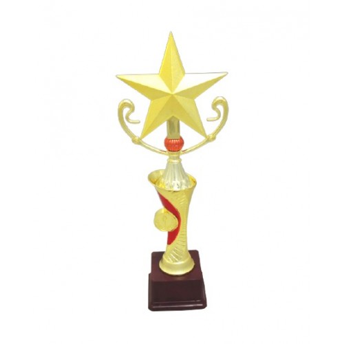 Designer Stingy Star Fiber Trophy 