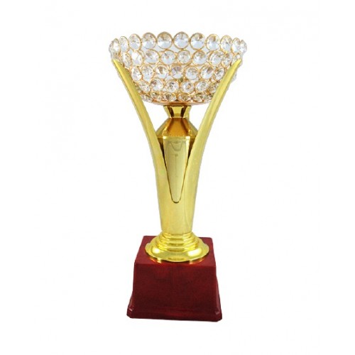 Gem Star Fiber Trophy 