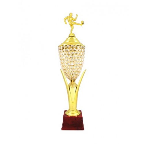 Gem Studded Football Fiber Trophy 