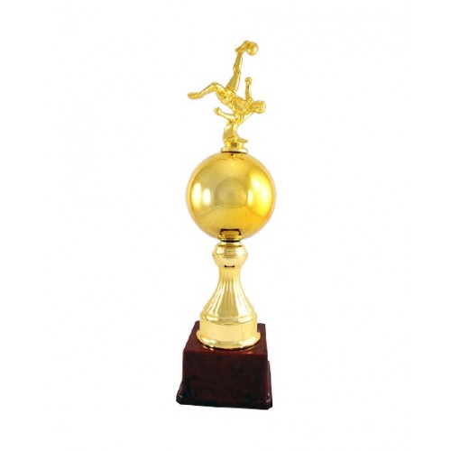Gold Ball Fiber Football Trophy 