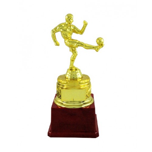 Golden Football Fiber Trophy 