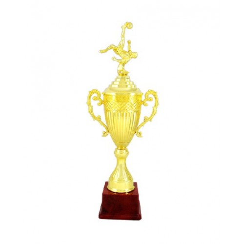 Huge Football Fiber Trophy 