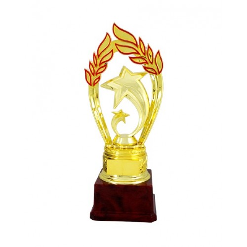 Insignia Star Fiber Trophy 