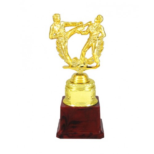 Karate Kick Fiber Trophy 