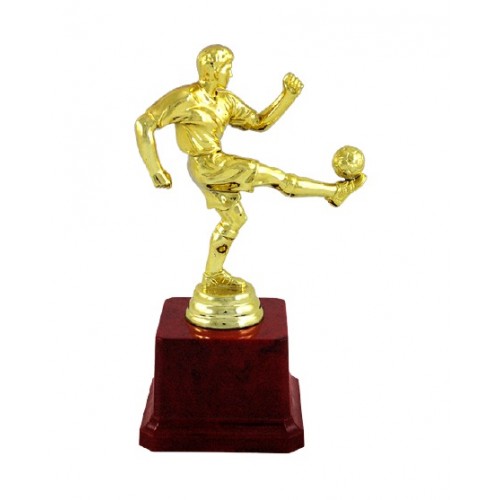 Mini Golden Footbal Fiber Trophy 