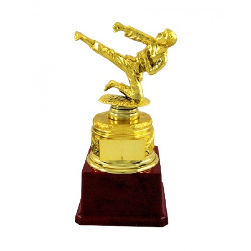 Miniature Karate Fiber Trophy 