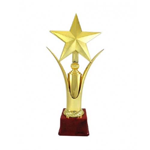 Stupendous Star Fiber Trophy 