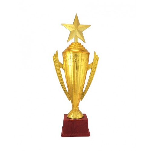 Sturdy Star Fiber Cup Trophy 