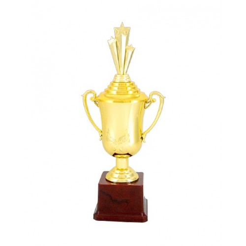 Tristar Model Cup Fiber Trophy 