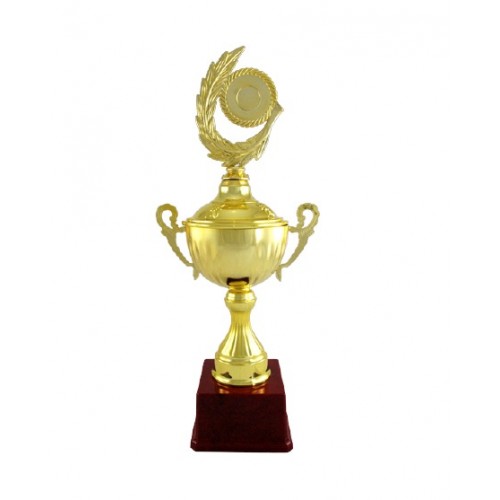 Ensign Metal Trophy Cup 