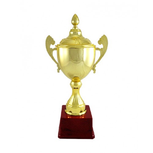 Exemplar Metal Cup Trophy 
