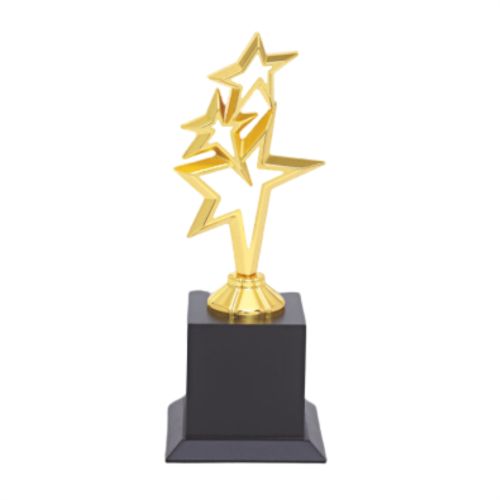 Exquisite Star Metal Trophy 