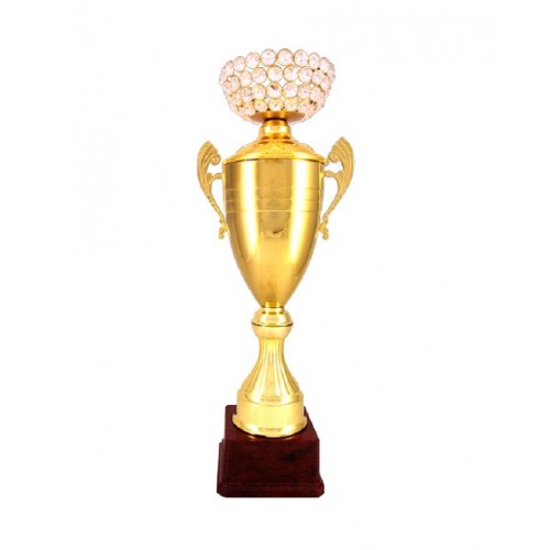 Gem Crown Metal Cup Trophy 