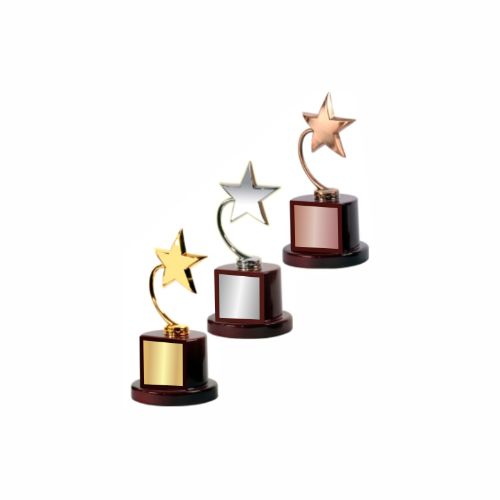 Glory Star Metal Trophy 