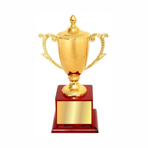 Metal Cup Golden Trophy 