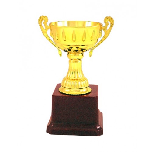 Significant Metal Cup Trophy 