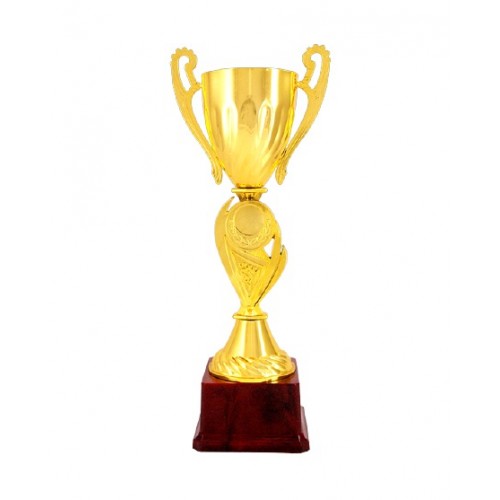 Sleek Insignia Metal Cup Trophy 