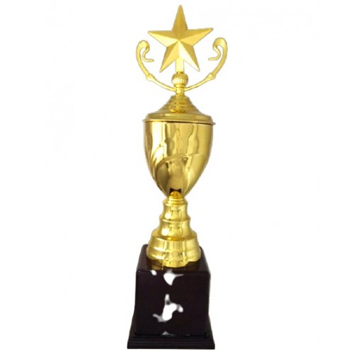 Striking Star Metal Cup Trophy 