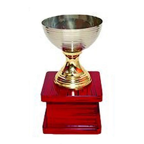 Super Bowl Cup Metal Trophy 
