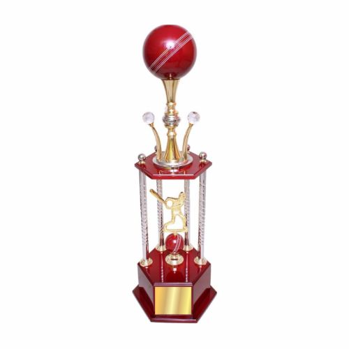 Superlative Batsman Metal Trophy 