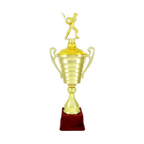 Terrific Batsman Metal Trophy 