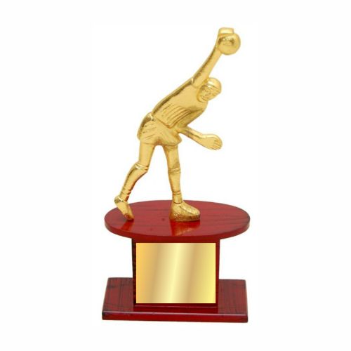 Volleyball Metal Trophy