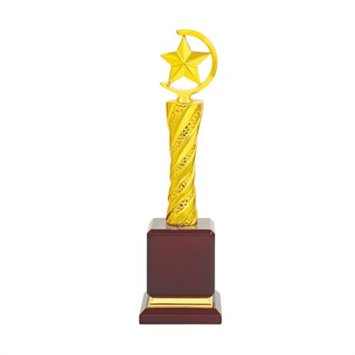 Fabulous Star Resin Trophy