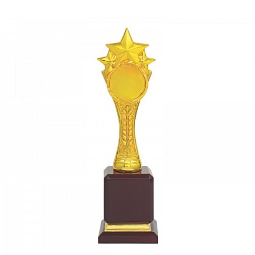 Star Resin Trophy